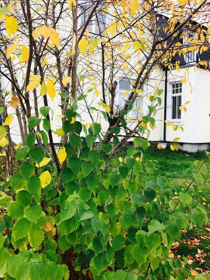 Parkgatan Villa Krylbo Exteriér fotografie